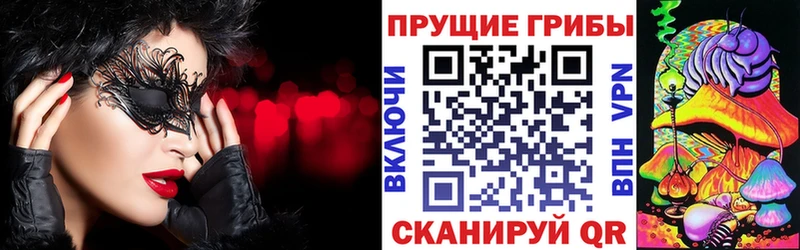 Псилоцибиновые грибы Psilocybine cubensis  Облучье 